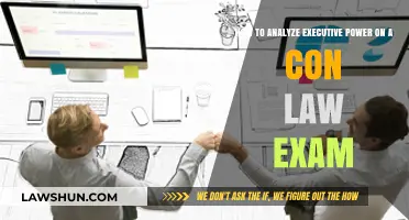 Mastering Con Law Exams: Analyzing Executive Power Effectively