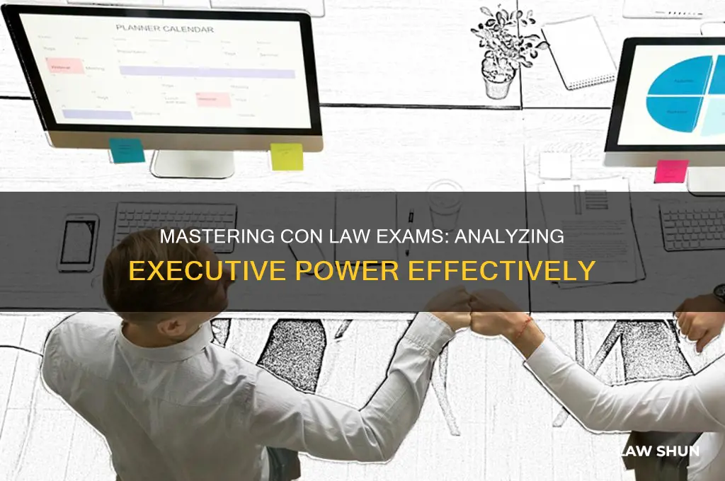 how to analyze executive power on a con law exam