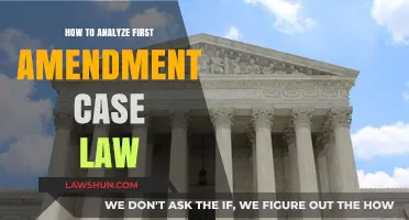 Analyzing First Amendment Case Law: A Comprehensive Guide