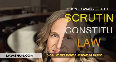 Scrutinizing Strict Scrutiny: A Constitutional Law Guide