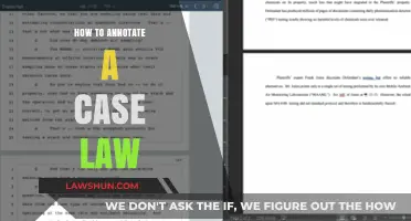 The Ultimate Guide to Annotating Case Law