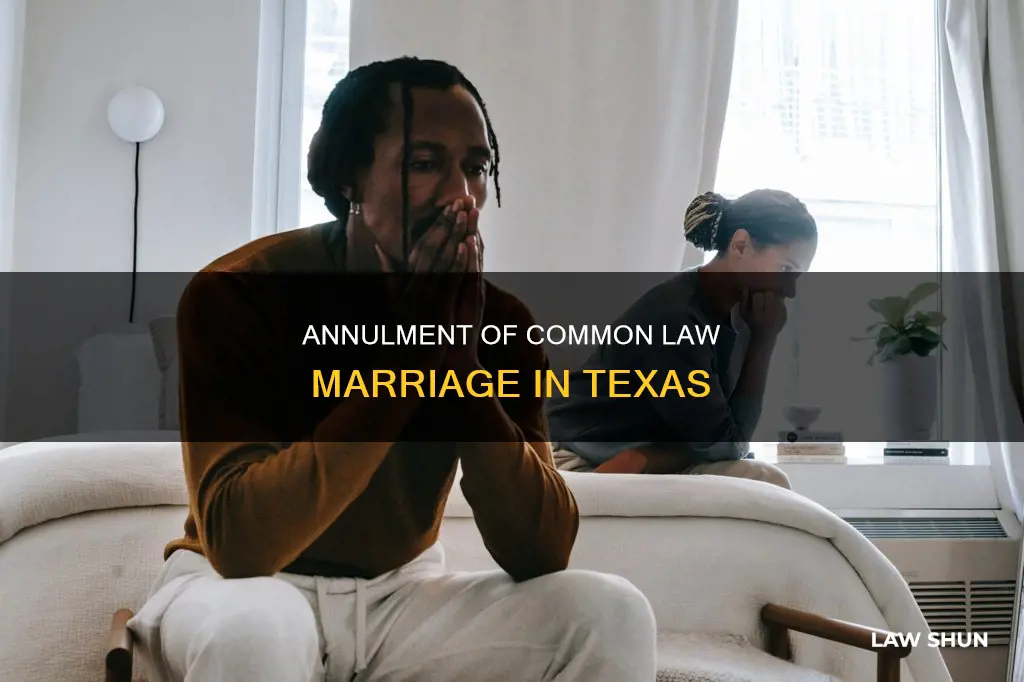 how to annul a common law marriage in texas