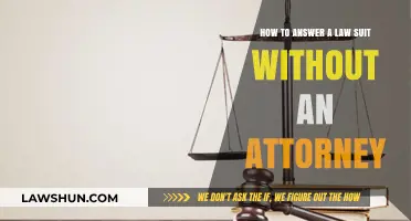 Defending Yourself: A Step-by-Step Guide to Answering a Lawsuit Solo