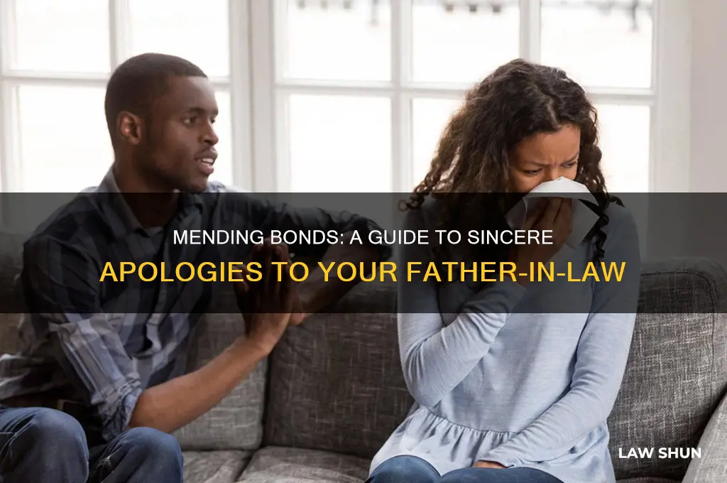 how to apologize to father in law