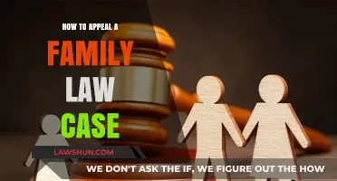Appealing Family Law Cases: Your Guide to Success