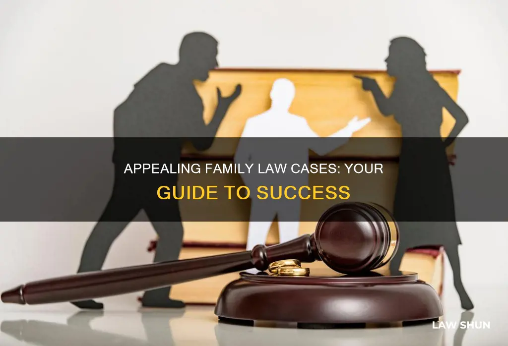how to appeal a family law case