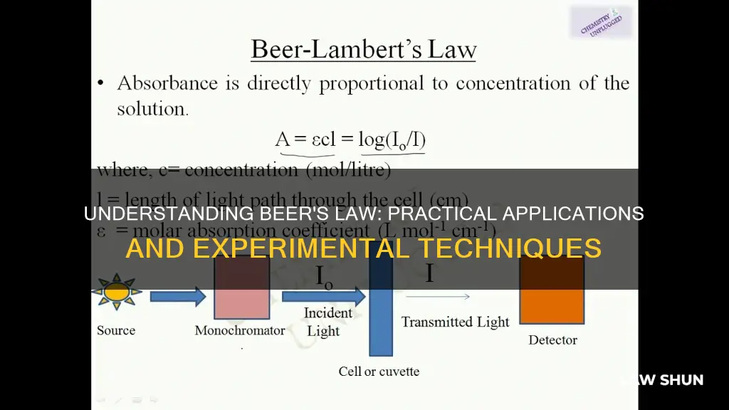 how to apply beer