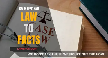 Applying Case Law: Strategies for Fact-Based Arguments