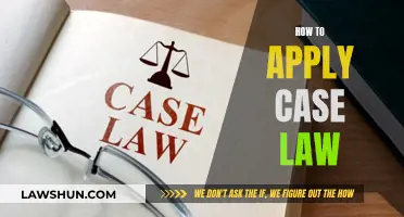 Applying Case Law: A Practical Guide for Beginners