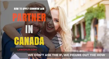 Applying for Common-Law Partner Status in Canada: A Guide