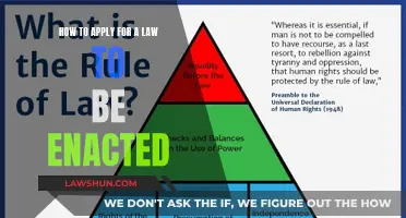 The Process of Enacting a Law: A Guide