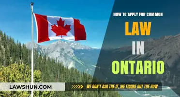 Applying for Common Law in Ontario: Steps to Take