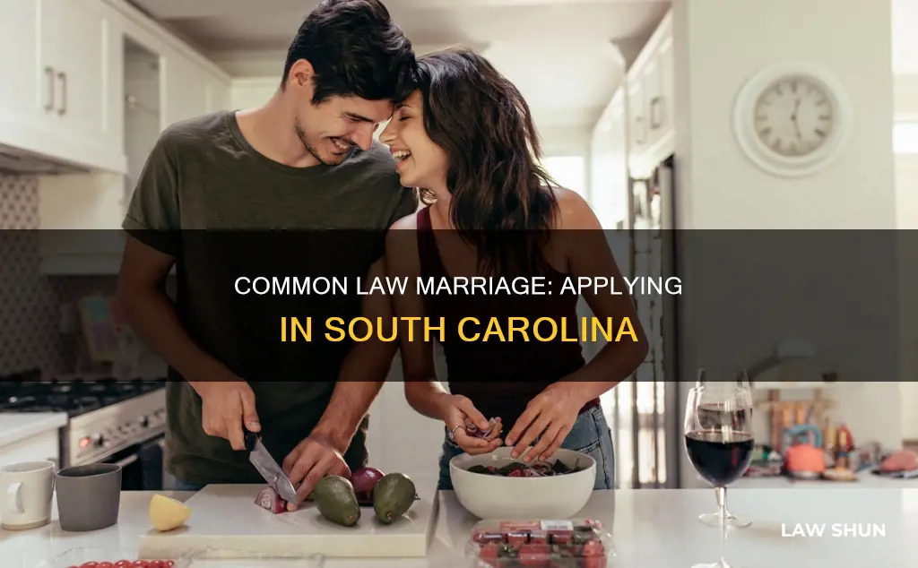 how to apply for common law marriage in south carolina