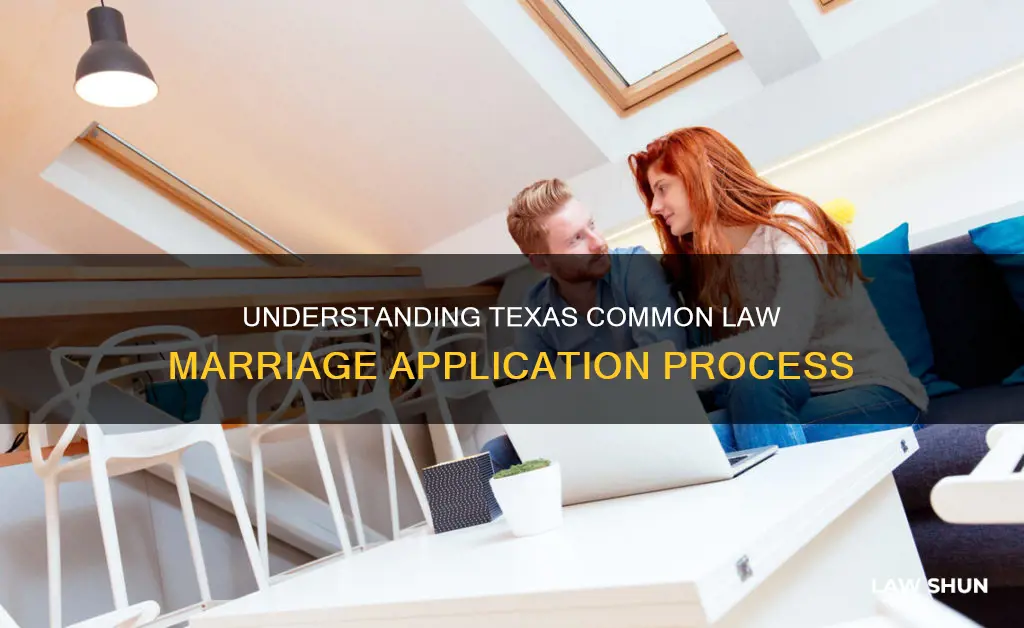 how to apply for common law marriage in texas