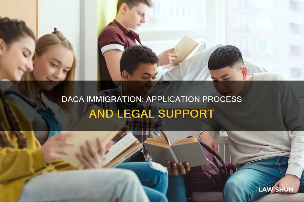 how to apply for daca immigration law center