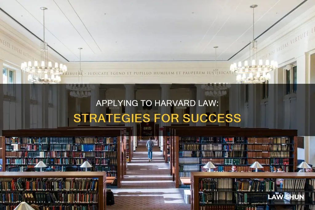 how to apply for harvard law