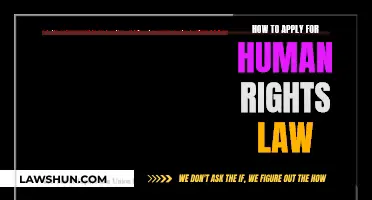 Human Rights Law: Application Process and Requirements