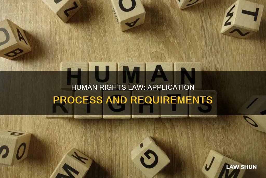 how to apply for human rights law