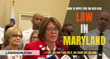 Applying for the Red Flag Law in Maryland: A Guide