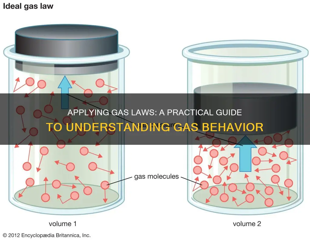 how to apply gas laws