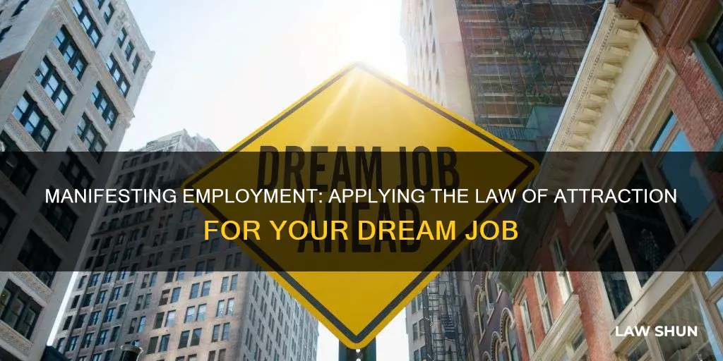 how to apply law of attraction for job