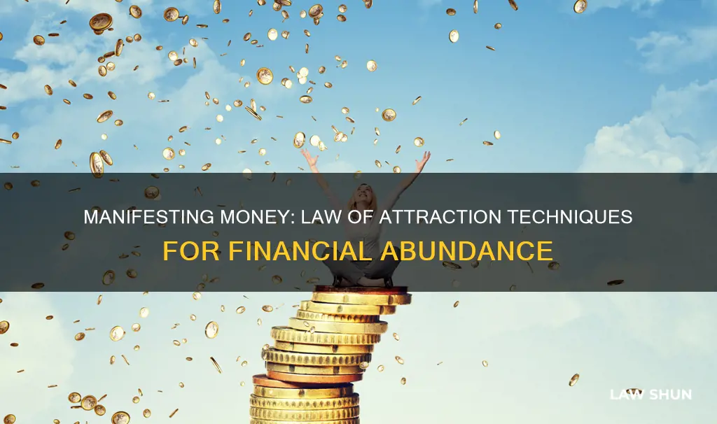 how to apply law of attraction for money