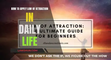 Manifesting the Law of Attraction in Your Daily Routine