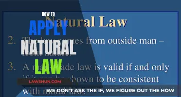 Applying Natural Law: A Guide to Morality and Justice