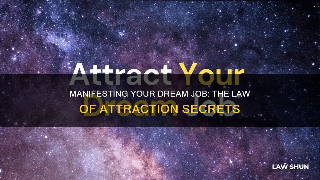 how to apply secret law of attraction for job