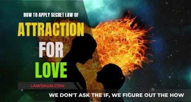 Manifesting Love: Applying the Law of Attraction for Romance