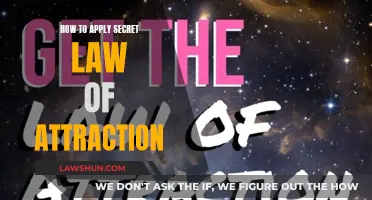 Manifesting the Law of Attraction: Simple Steps to Success