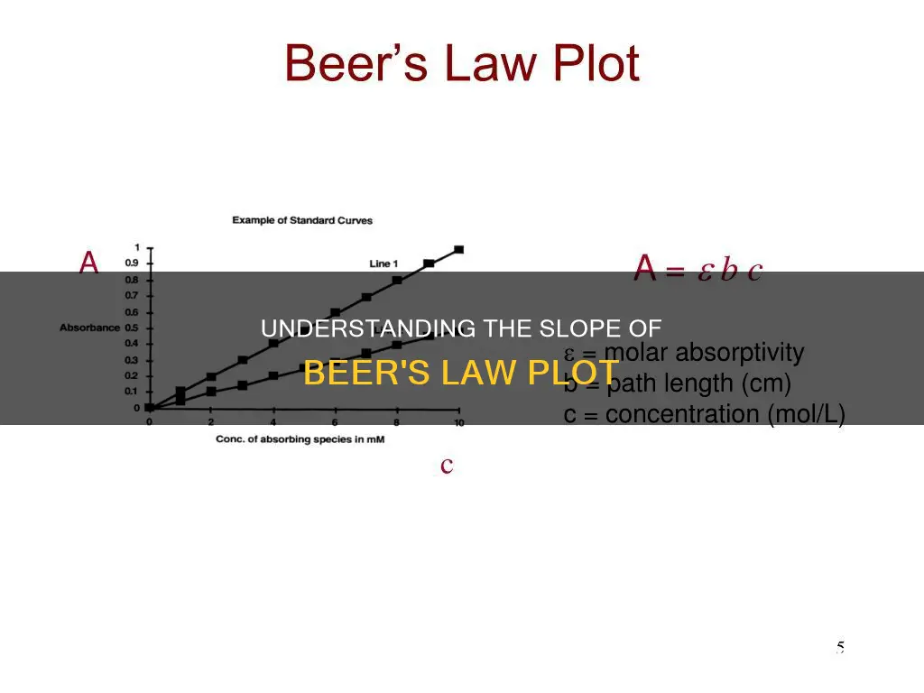 how to apply slope of beer