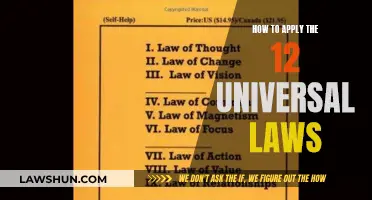 Applying Universal Laws: 12 Principles for a Better Life