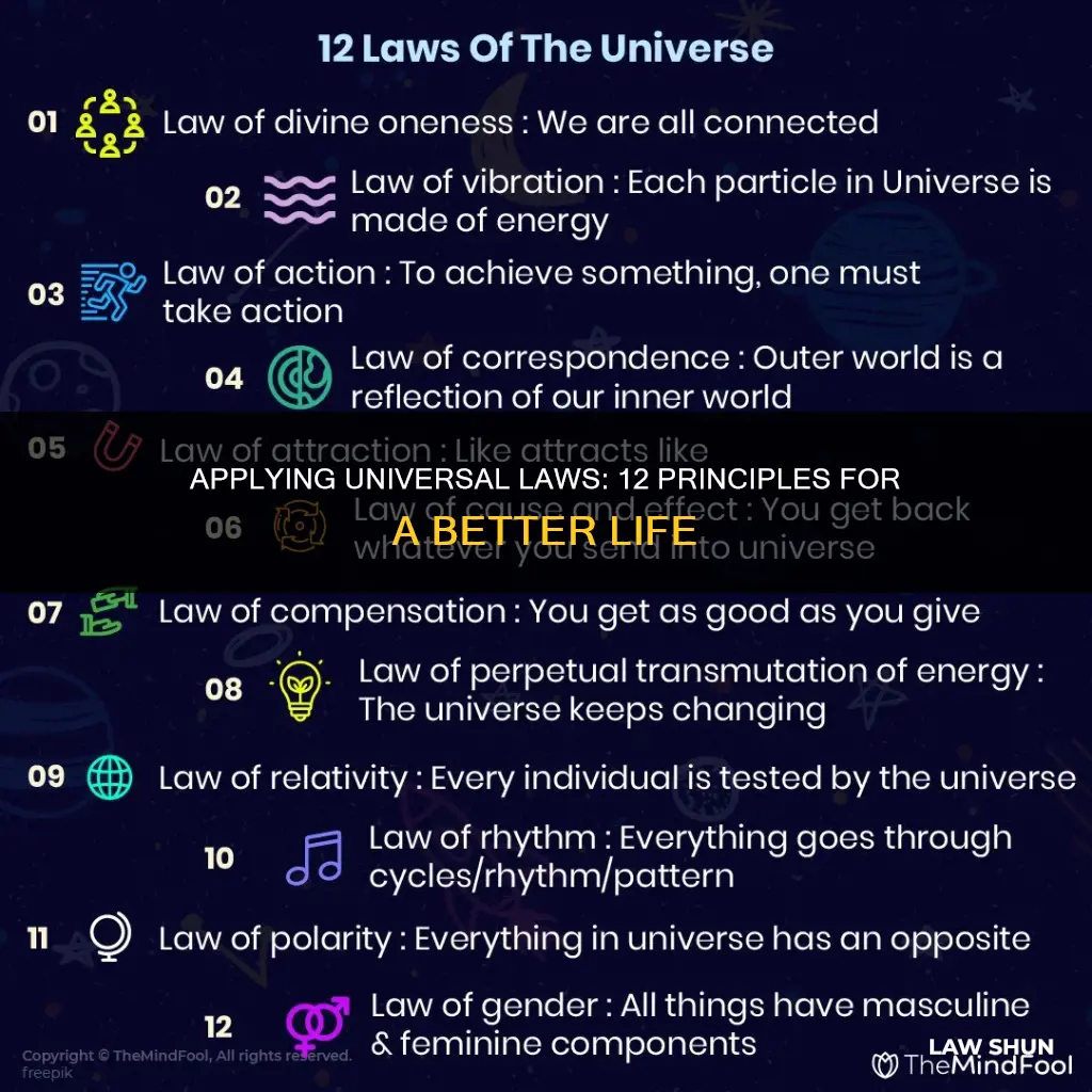 how to apply the 12 universal laws