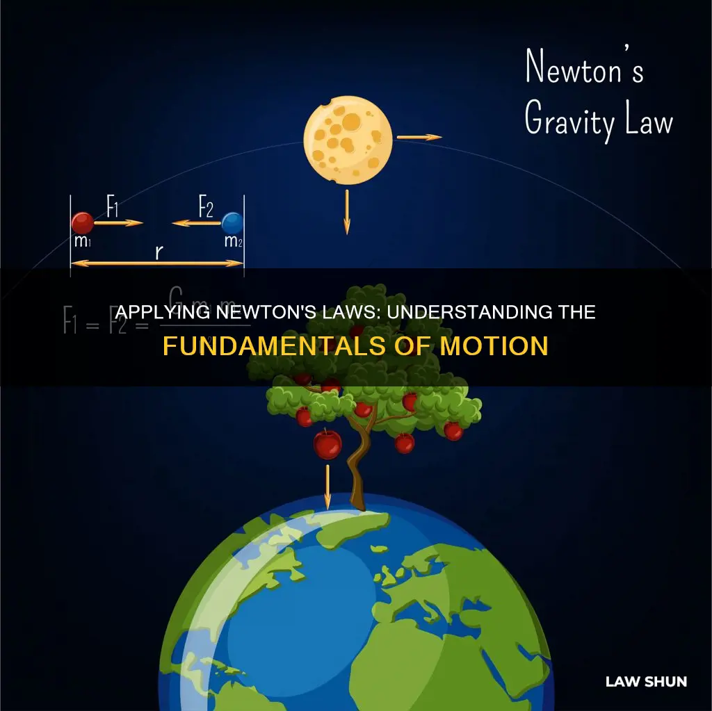 how to apply the 3 laws of motion