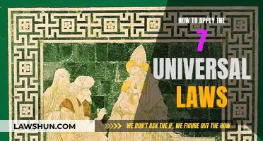 Applying the Universal Laws: A Guide to Success and Fulfillment