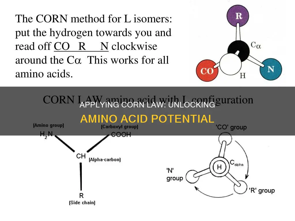 how to apply the corn law amino acids