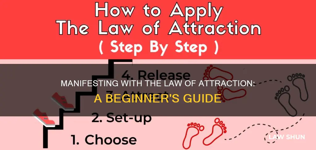 how to apply the law of attraction book