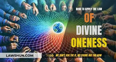 Manifesting Oneness: Applying the Law of Divine Connection