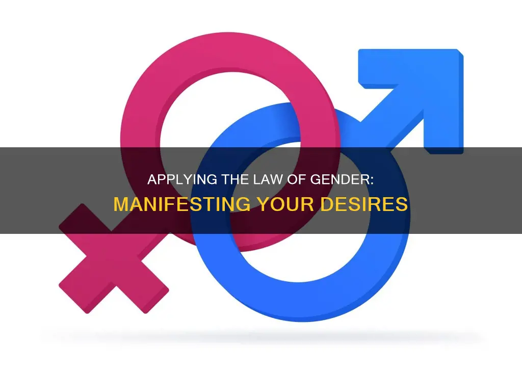 how to apply the law of gender