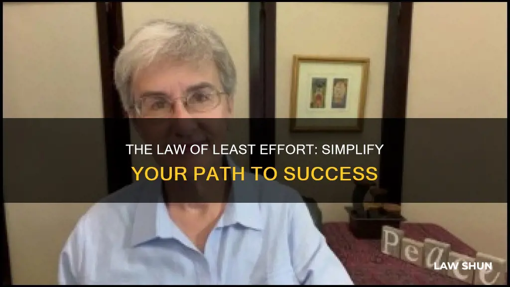 how to apply the law of least effort