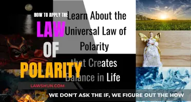 The Power of Polarity: Applying the Law for Success