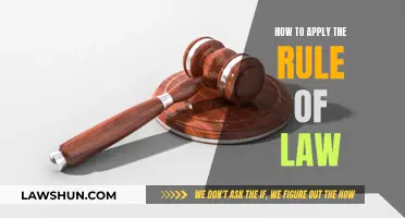 Applying the Rule of Law: A Practical Guide