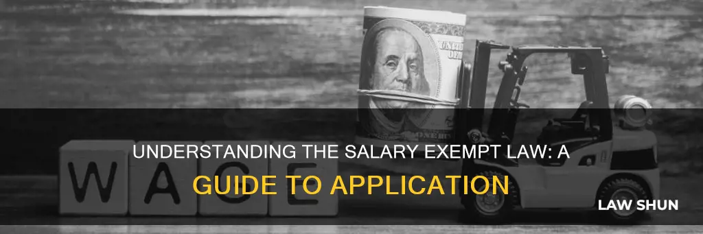 how to apply the salary exempt law