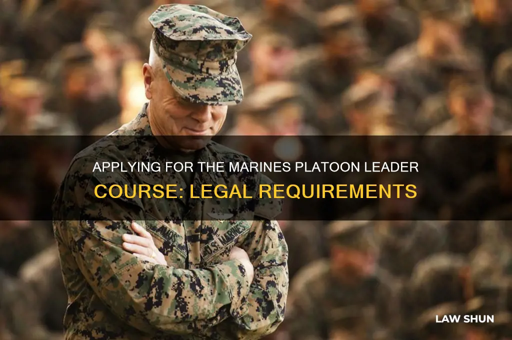 how to apply to platoon leader course marines law