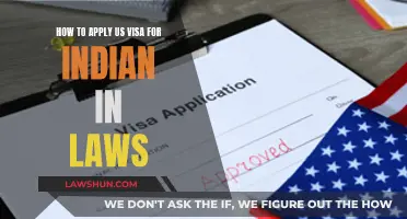 Applying for a US Visa: Indian In-Laws' Guide