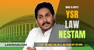 A Nestam for the Future: YSR Law Application Guide