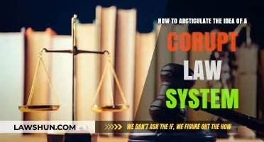 Exposing Corruption: Articulating the Failures of a Broken Legal System