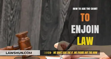 Seeking Legal Relief: How to Petition the Court for an Injunction