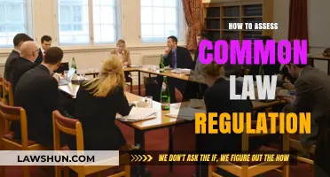 Assessing Common Law Regulation: A Comprehensive Guide